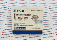 Testosterone Enanthate ZPHC (Реплика) 250mg/10ml